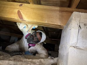 Basement Flood in Union, NJ (2)